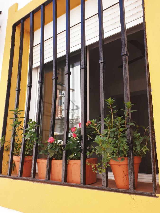 Apto. Planta Baja Y Cochera Barrio San Basilio Córdoba Kültér fotó