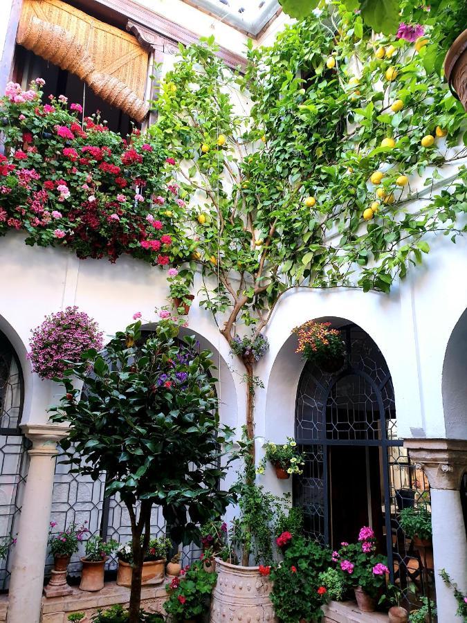 Apto. Planta Baja Y Cochera Barrio San Basilio Córdoba Kültér fotó